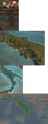 TF29 naples leader map diplo