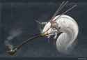 birin smoking