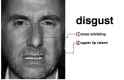 disgust