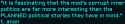 78 KB