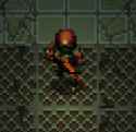 24 KB