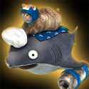 Rule 34 Rule 34 Image