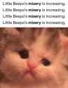 38 KB