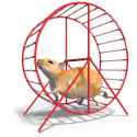 Hamster+wheel