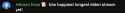 21 KB