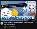 494 KB