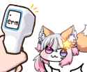 24 KB
