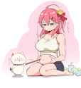 miko cute potbelly