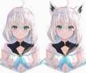 Human and kemono Fubuki
