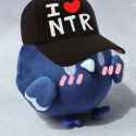 NTRBIRD