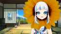 ogey_sunflower