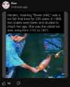 Screenshot_20250516-230431_Firefox