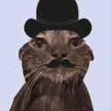 watercat