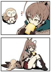 bread