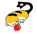 Gqjzt5sWcAAfL1a