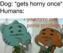 1720429206649293