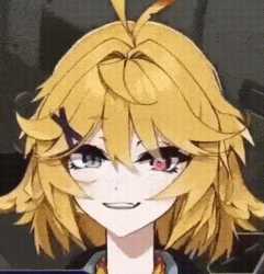 dokioop