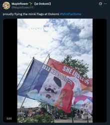 faggot flags