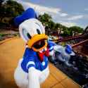 donald