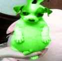 FuxGbZrWIAEv61C