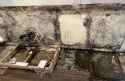 mold