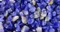 blue sand