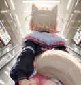 catbox_ucso87