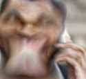 ssdfsfd
