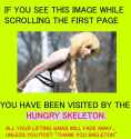 1741101128823757