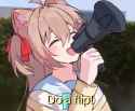 do a flip