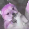 1709653175356638