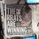 rrat_winning_holo