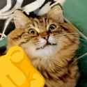 bubi_souleater[sound=files.catbox.moe%2Fvy0jsb.mp3]