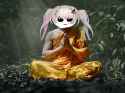 Yippie Monk