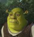 shrek face