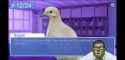 Screenshot_20250712-112942_YouTube