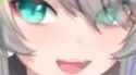 4-44488833 44466