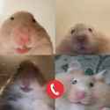 hamha zoom call