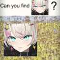Find-the-lia-stare