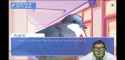 Screenshot_20250713-075243_YouTube