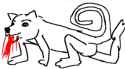shiba