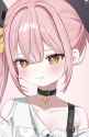 pekecute