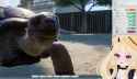 zoo keeper