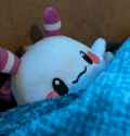 momocomfy