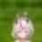 32 KB
