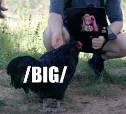 399 KB