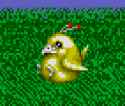9 KB