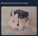 49 KB