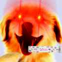 190 KB