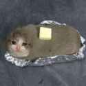 155 KB